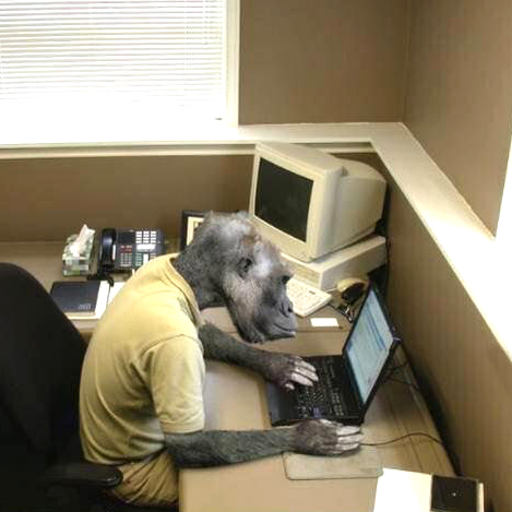 Monkey Business blank meme template