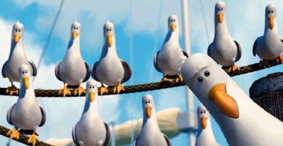 Nemo Birds blank meme template