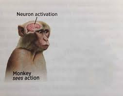 Neuron activation blank meme template