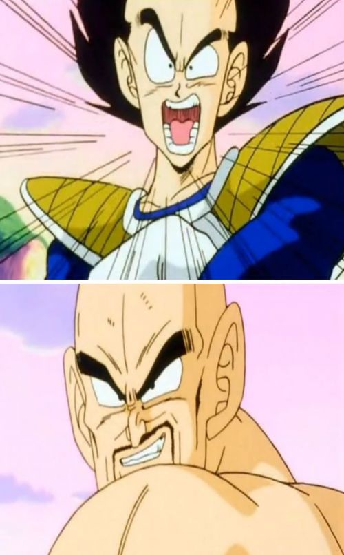 No Nappa Its A Trick blank meme template