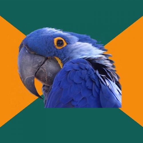 Paranoid Parrot blank meme template