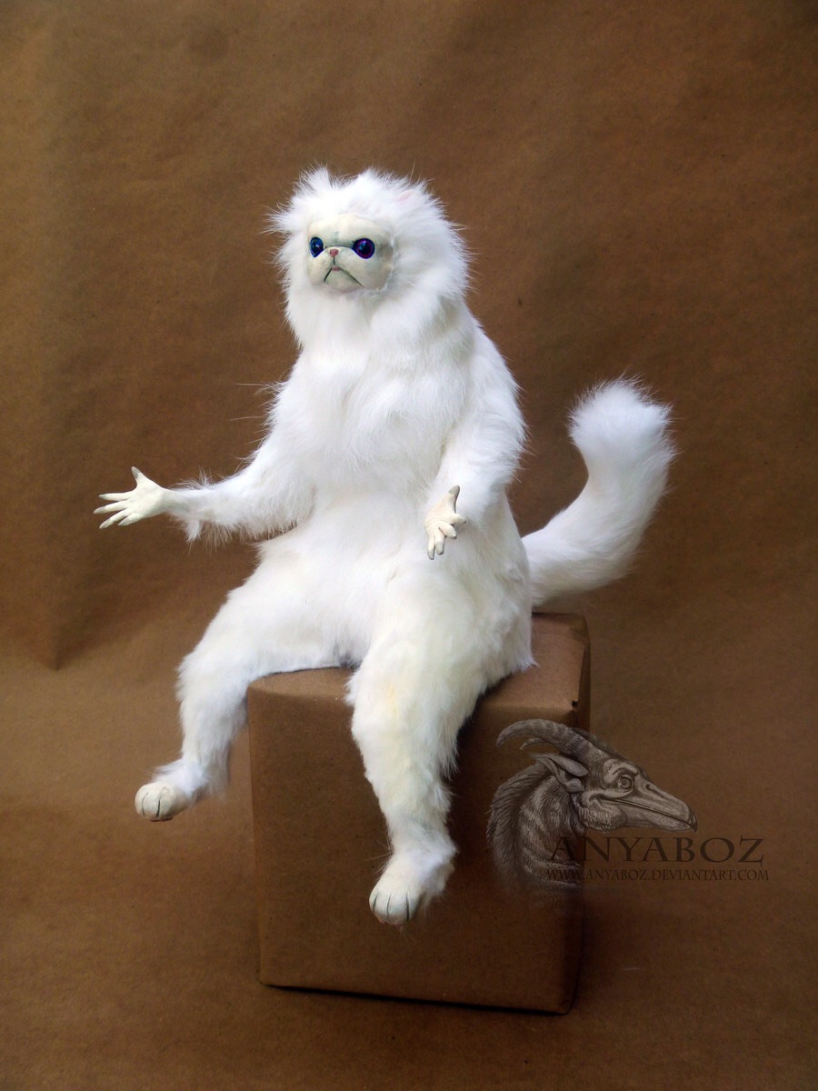 Persian Cat Room Guardian Single blank meme template