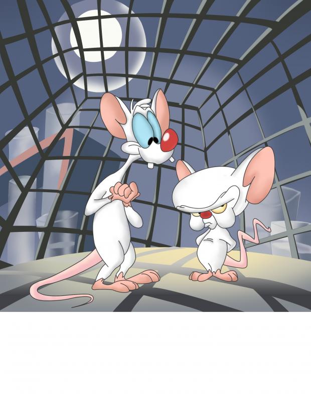 Pinky and the brain blank meme template