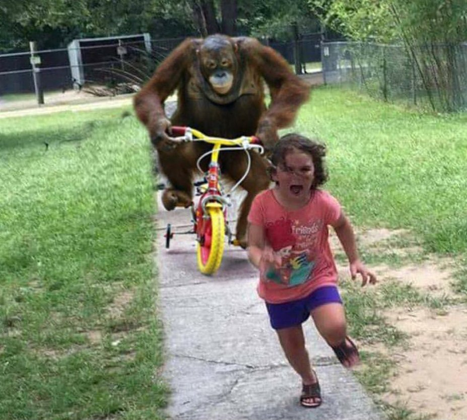 Run! blank meme template