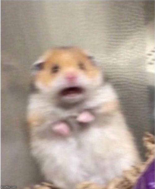 Scared Hamster blank meme template