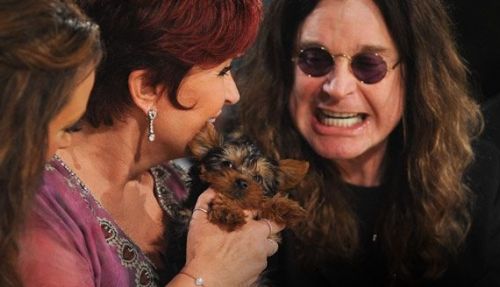 Selfish Ozzy blank meme template