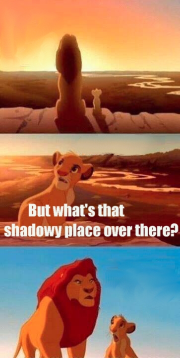 Simba Shadowy Place blank meme template