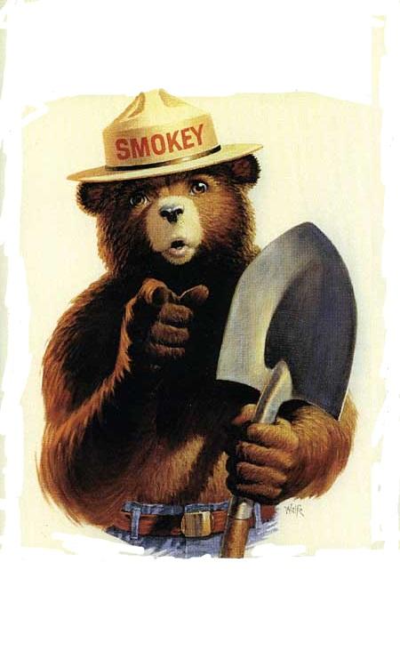 Smokey The Bear blank meme template