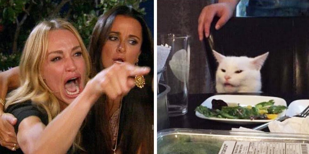 Smudge the cat blank meme template
