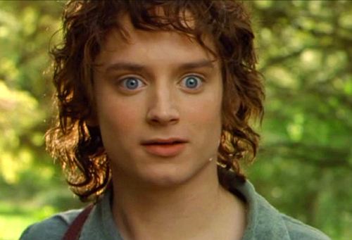 Surpised Frodo blank meme template