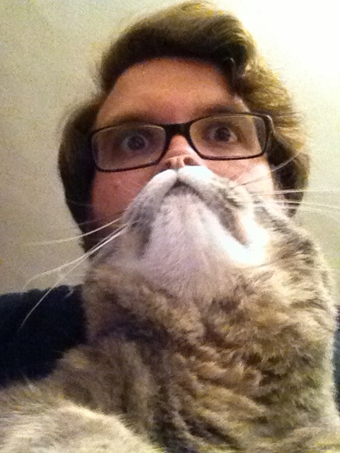 Surprised CatMan blank meme template