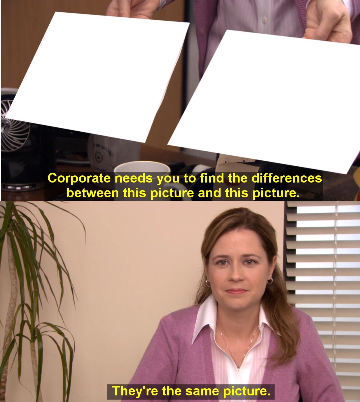 They're The Same Picture blank meme template