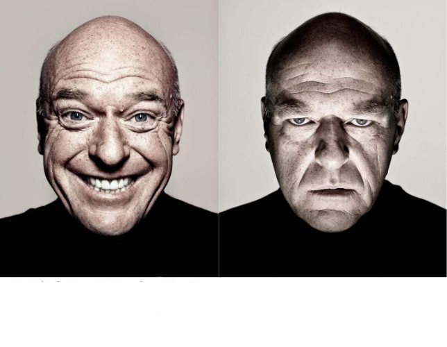 breaking bad smile frown blank meme template