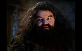 Hagrid Yer a Wizard blank meme template