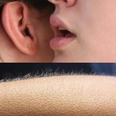 Whisper and Goosebumps blank meme template