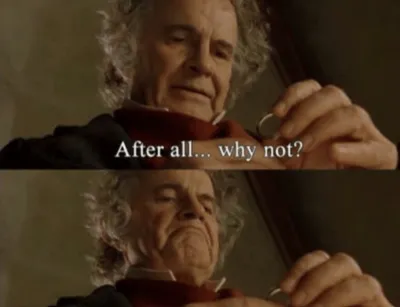 After all.. why not? blank meme template
