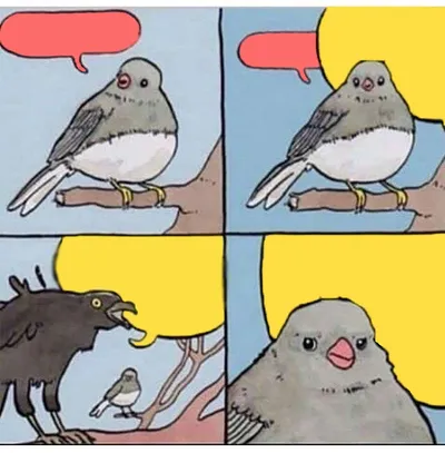 annoyed bird blank meme template