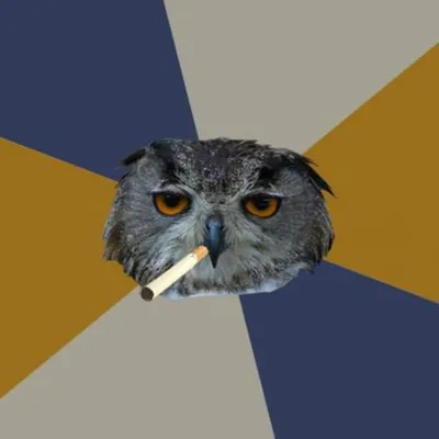 Art Student Owl blank meme template