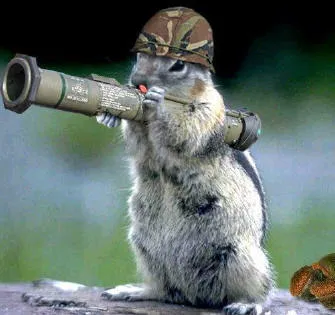Bazooka Squirrel blank meme template