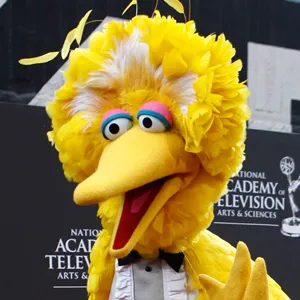 Big Bird blank meme template