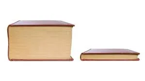 Big book small book blank meme template