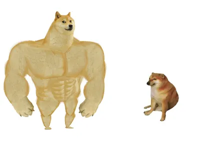 Big dog small dog blank meme template