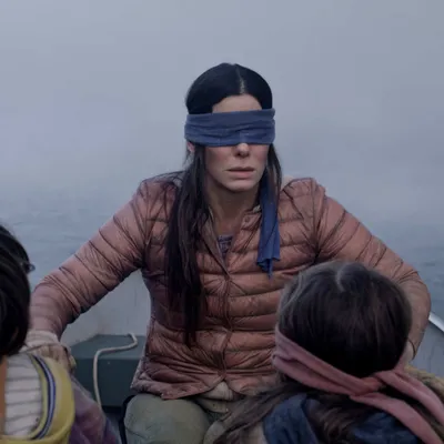 Bird Box blank meme template