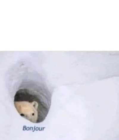 Bonjour blank meme template
