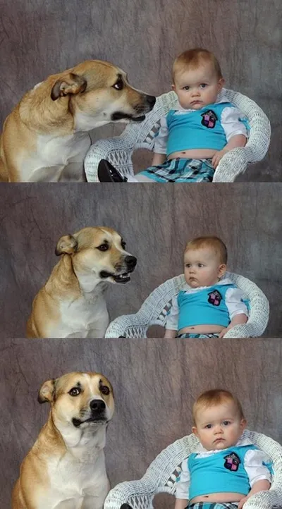 Dad Joke Dog blank meme template