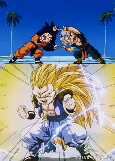 DBZ FUSION blank meme template
