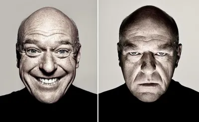 Dean Norris reaction blank meme template