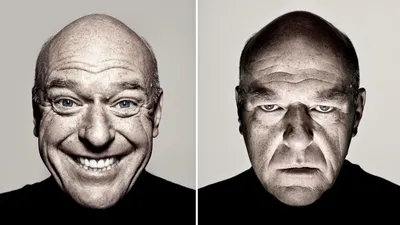 Dean Norris's reaction blank meme template