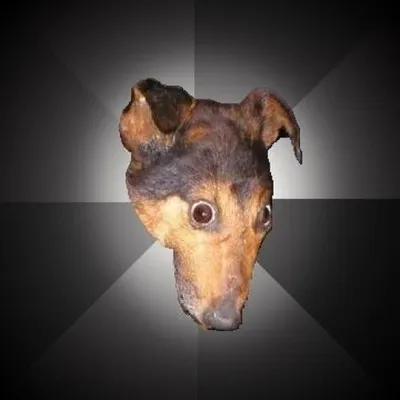 Depression Dog blank meme template