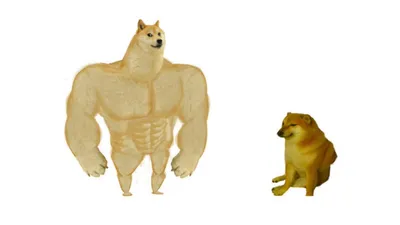 Dodge chad vs virgin blank meme template