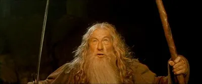 gandalf you shall not pass blank meme template