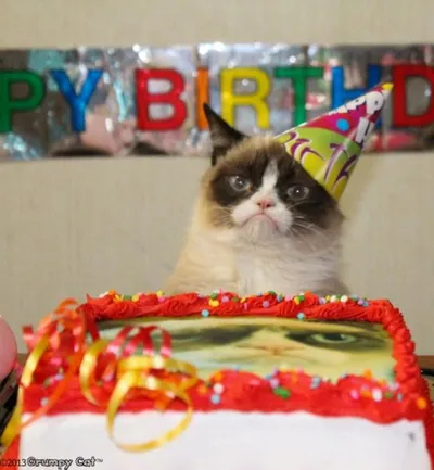 Grumpy Cat Birthday blank meme template