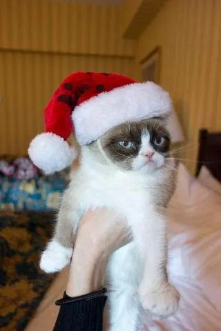 Grumpy Cat Christmas blank meme template