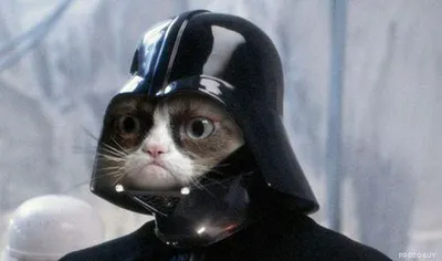 Grumpy Cat Star Wars blank meme template