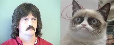 Grumpy Cat's Father blank meme template