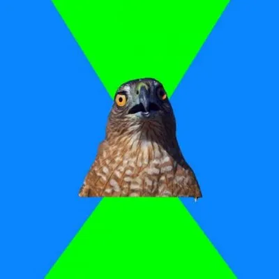 Hawkward blank meme template