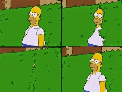 HOMER BUSH blank meme template