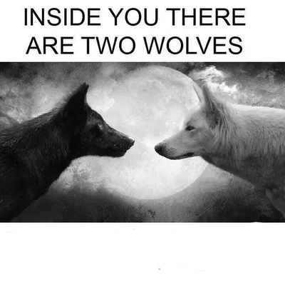 Inside you there are two wolves blank meme template