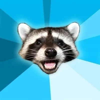 Lame Pun Coon blank meme template