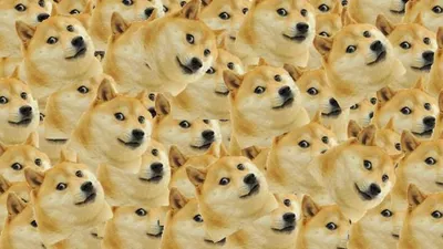 Multi Doge blank meme template