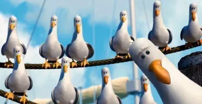 Nemo Birds blank meme template