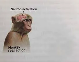 Neuron activation blank meme template