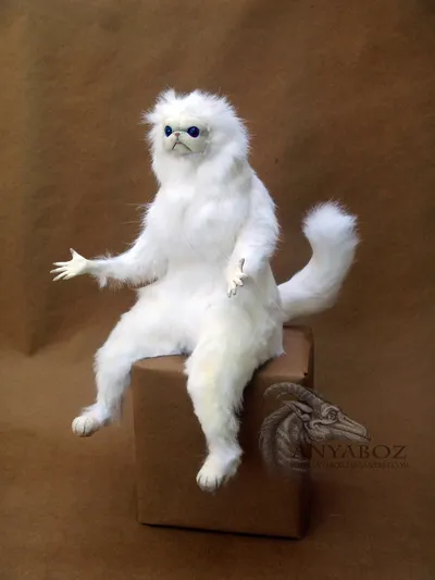 Persian Cat Room Guardian Single blank meme template