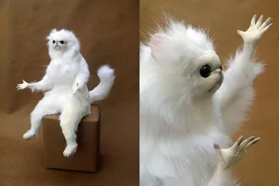 Persian Cat Room Guardian blank meme template
