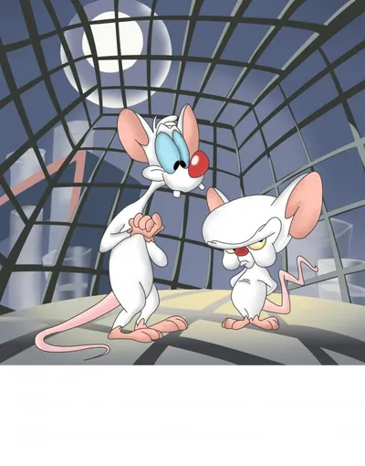 Pinky and the brain blank meme template