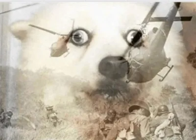 PTSD dog blank meme template